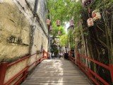 Check out the first Huawei Mate XT Ultimate camera samples 