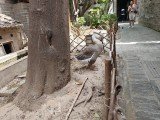 Gallery: Here are some Oppo Find X8 Ultra camera samples from a photo walk around Xi'an 