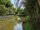 Check out the first OnePlus 13s camera samples 