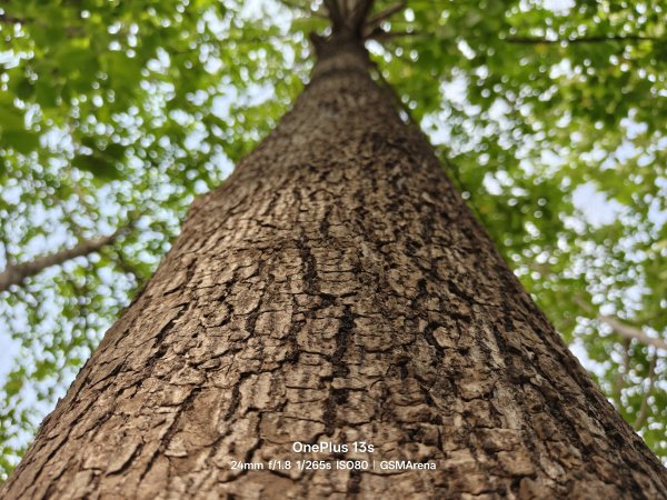 Check out the first OnePlus 13s camera samples 