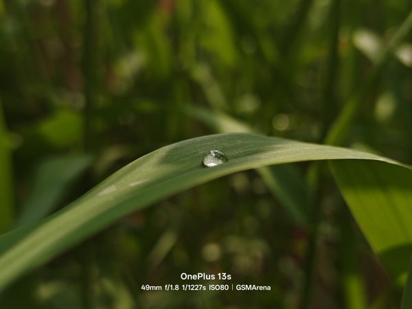 Check out the first OnePlus 13s camera samples 
