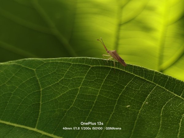 Check out the first OnePlus 13s camera samples 