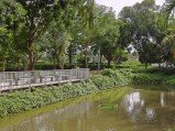 Here are our first Realme 15 Pro camera samples 