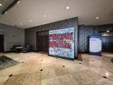Samsung Galaxy Z Fold7 and Z Flip7 camera samples 