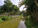 Here are our first Realme 15 Pro camera samples 