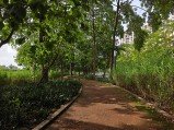Here are our first Realme 15 Pro camera samples 