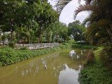 Here are our first Realme 15 Pro camera samples 