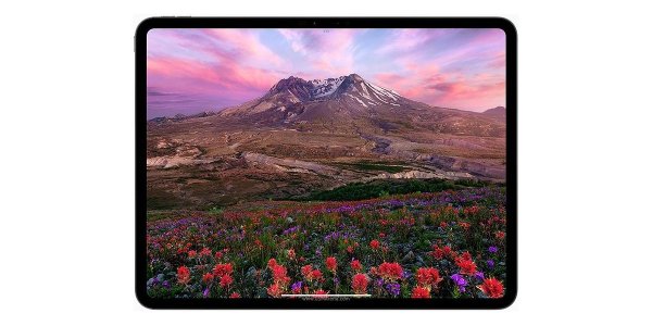 LG is pushing Apple to use the iPad Pro's Tandem OLED tech in future iPhones 