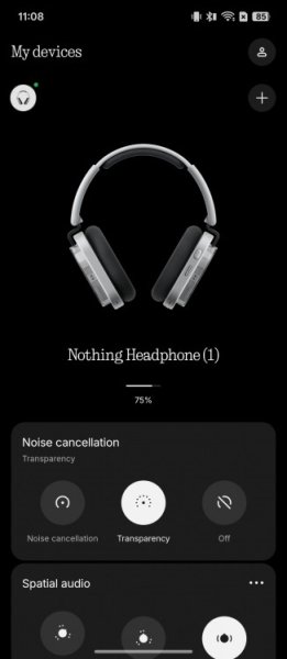Nothing Headphone (1) review 