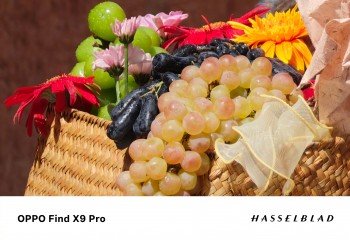 Oppo shares first camera sample from Find X9 Pro's 200MP periscope 