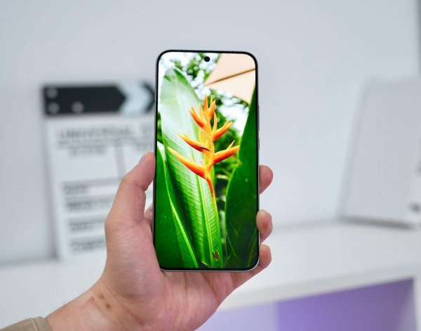 iQOO 15's screen fully detailed 