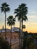 Field Report: I took the vivo X300 Pro on a trip to Spain and came back impressed Field Report: I took the vivo X300 Pro on a trip to Spain and came back impressed