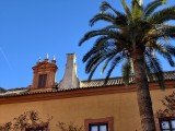 Field Report: I took the vivo X300 Pro on a trip to Spain and came back impressed Field Report: I took the vivo X300 Pro on a trip to Spain and came back impressed