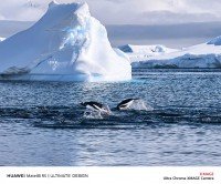 Huawei Mate80 series' camera samples shared by company CEO 