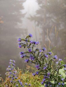 My top 5 phones of 2025 - Ivan 