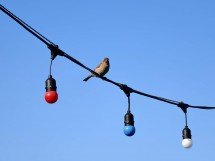 My top 5 phones of 2025 - Ivan 