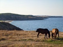 My top 5 phones of 2025 - Ivan 