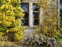 My top 5 phones of 2025 - Ivan 