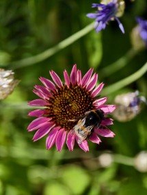 My top 5 phones of 2025 - Ivan 