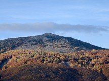 My top 5 phones of 2025 - Ivan 