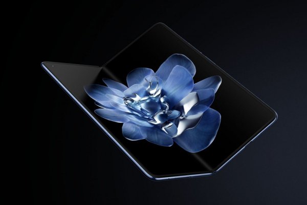 2025 Winners and Losers: Xiaomi 2025 Winners and Losers: Xiaomi