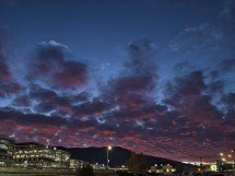 My top 5 phones of 2025 - Ivan 