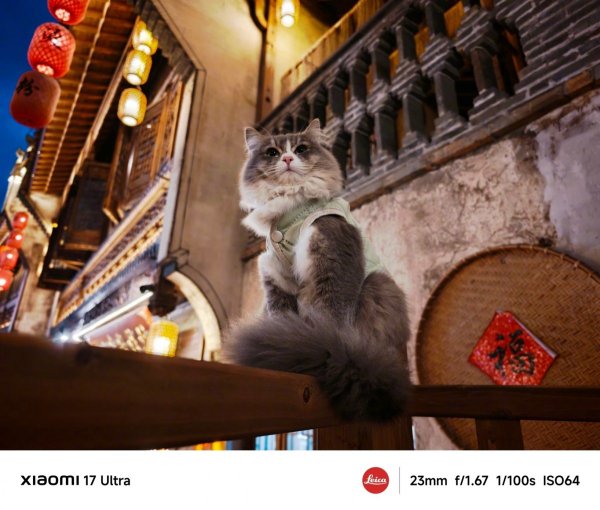 Here are the first camera samples from the Xiaomi 17 Ultra 