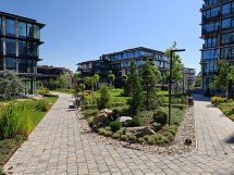 Camera vs foldable flagships: why can't you have the best of both worlds? 