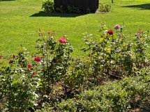 Camera vs foldable flagships: why can't you have the best of both worlds? 