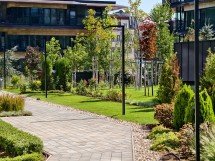 Camera vs foldable flagships: why can't you have the best of both worlds? 