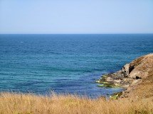 My top 5 phones of 2025 - Ivan 