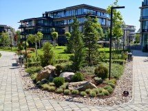 Camera vs foldable flagships: why can't you have the best of both worlds? 