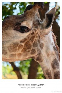 One more brand is set to launch a smartphone with a telephoto extender 