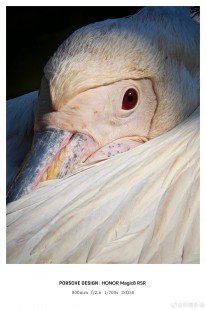 One more brand is set to launch a smartphone with a telephoto extender 