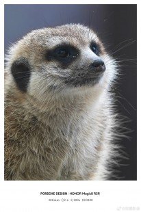 One more brand is set to launch a smartphone with a telephoto extender 